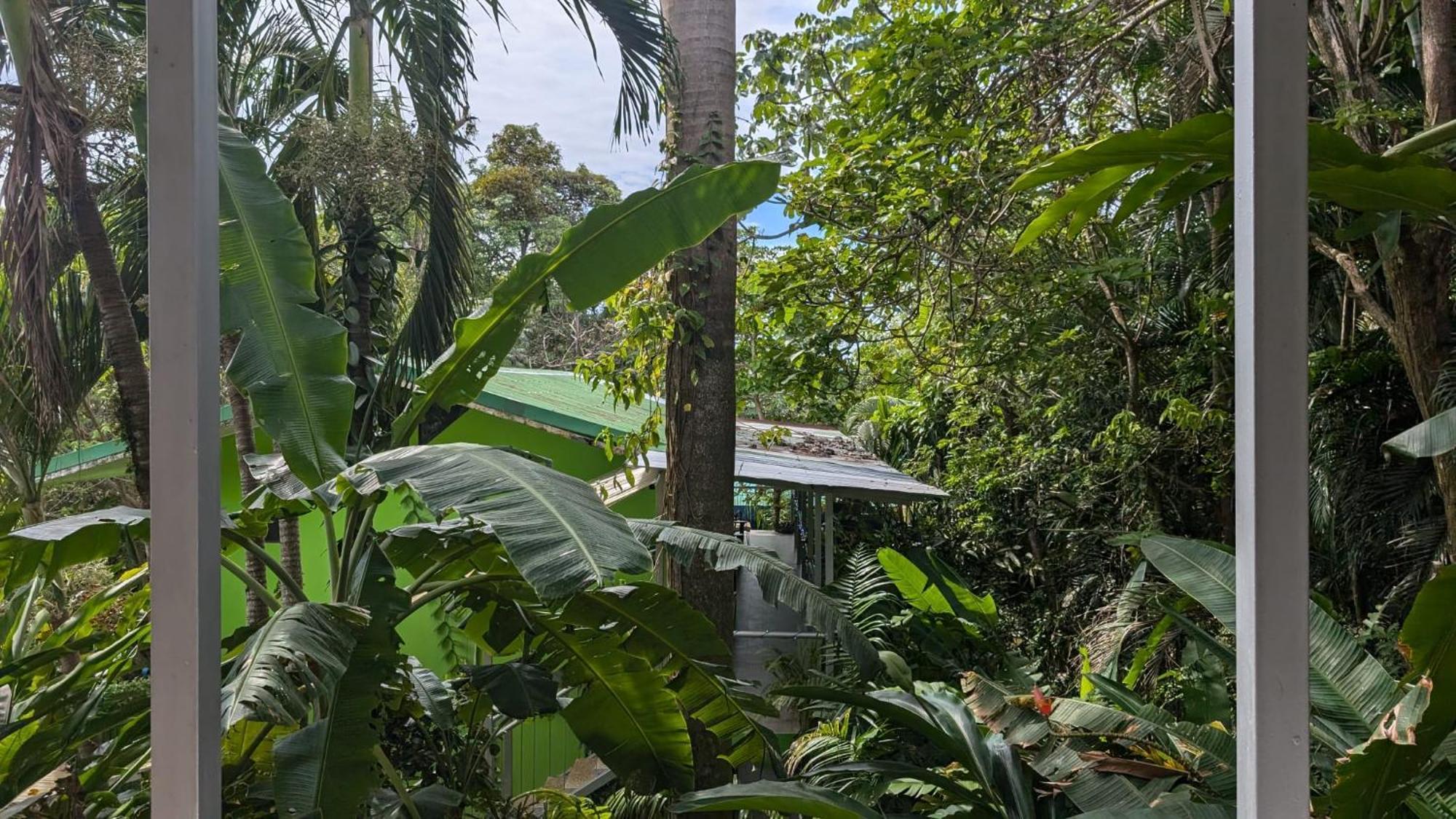 Peace Of Paradise Manuel Antonio Luaran gambar